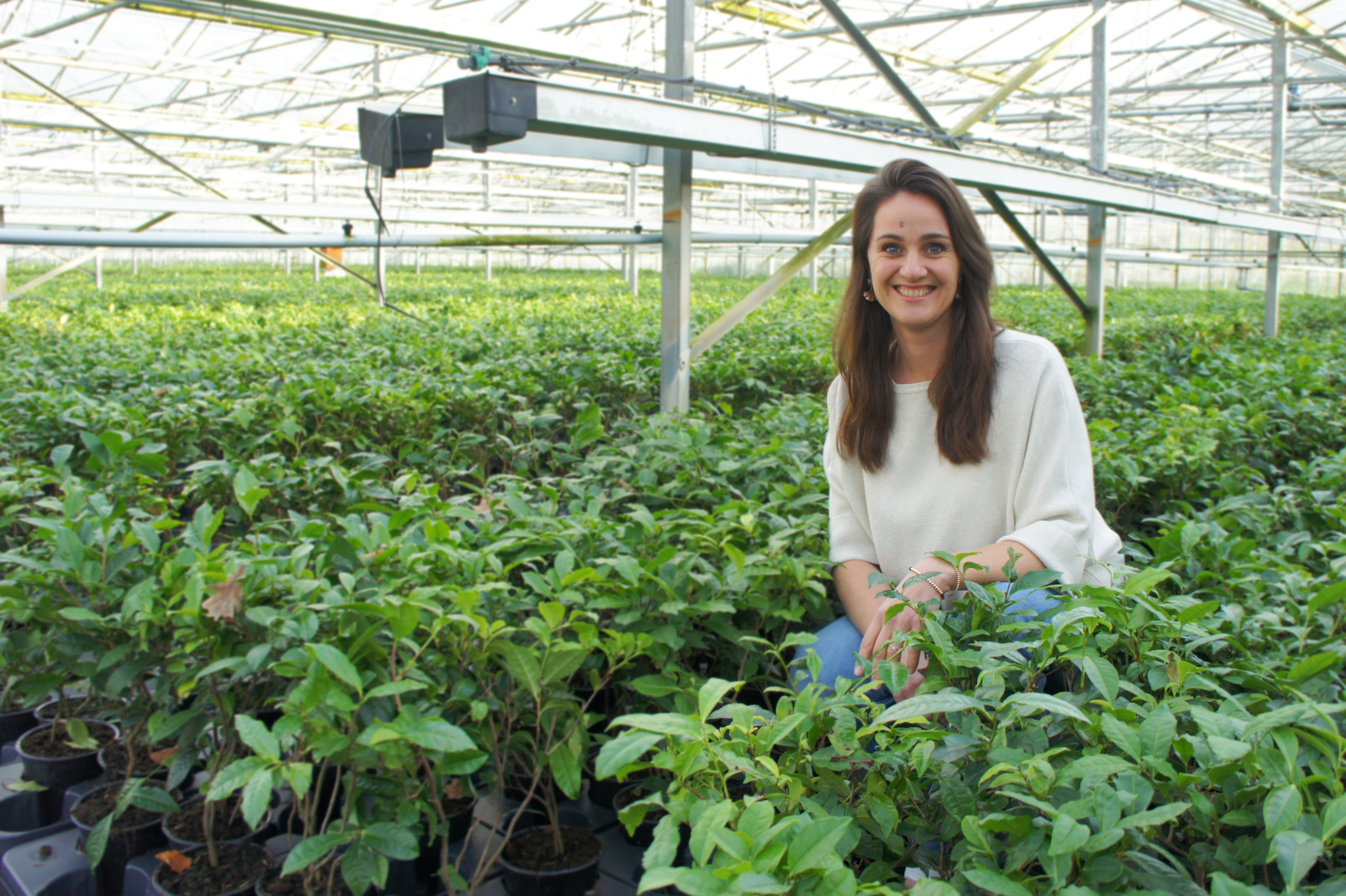Head of Marketing Marleen Merx van LocalTea tussen de theeplanten